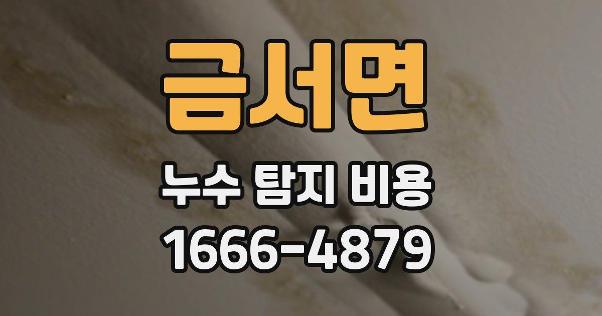 금서면 누수 탐지 비용