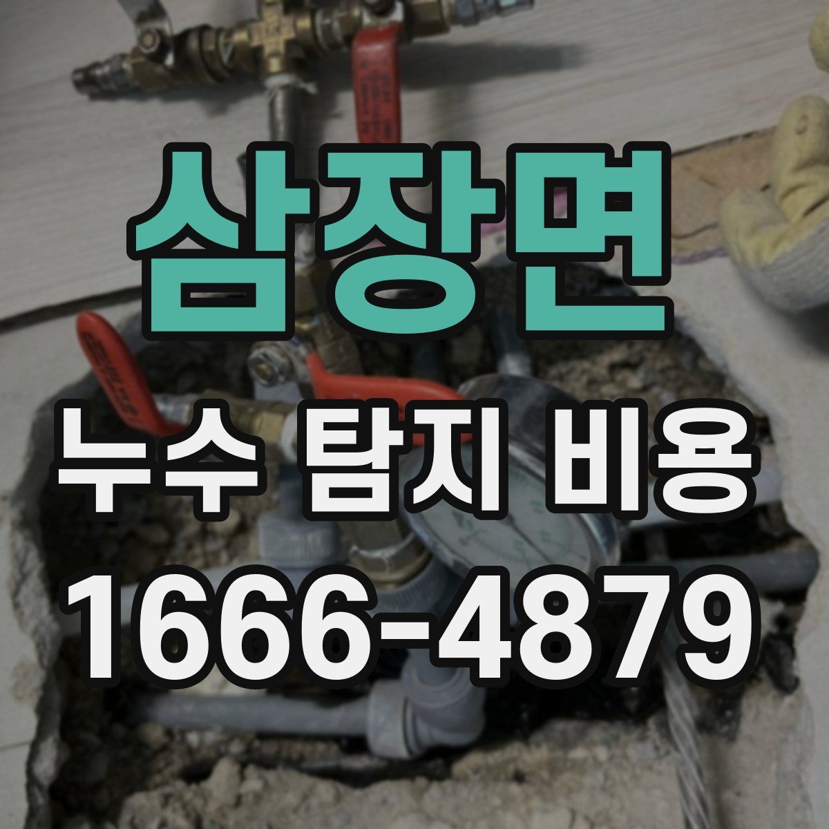 삼장면 누수 탐지 비용