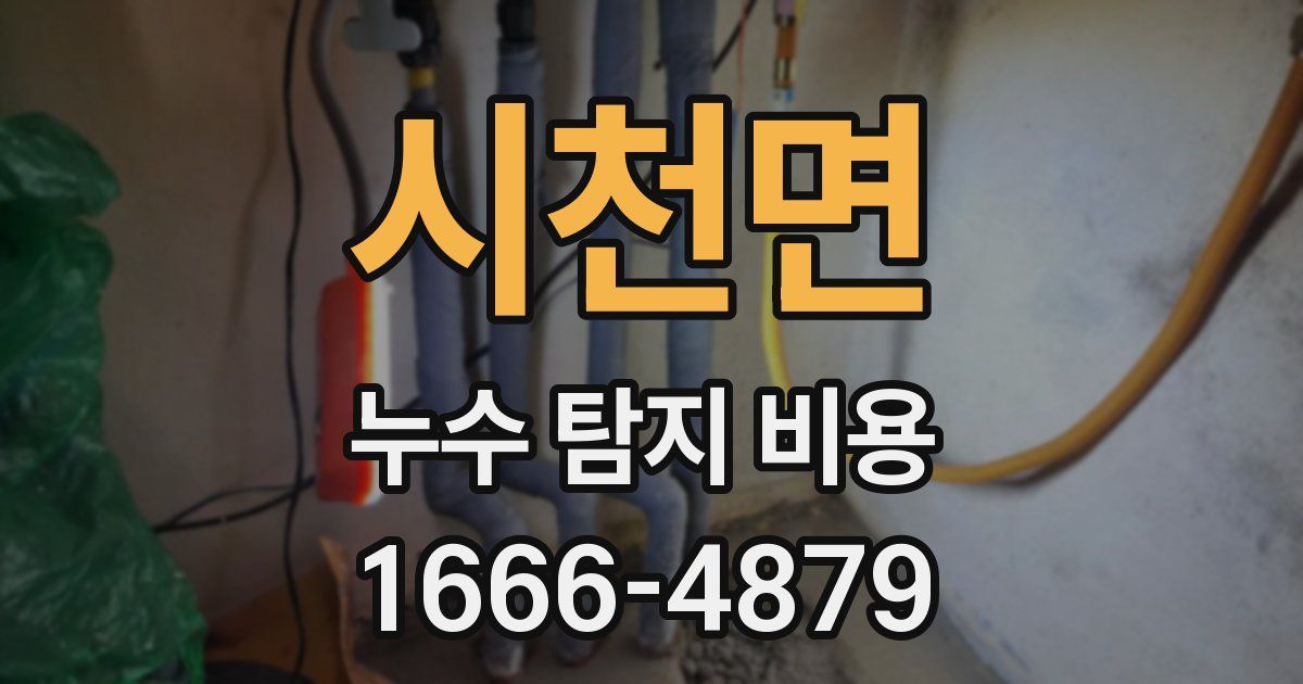시천면 누수 탐지 비용