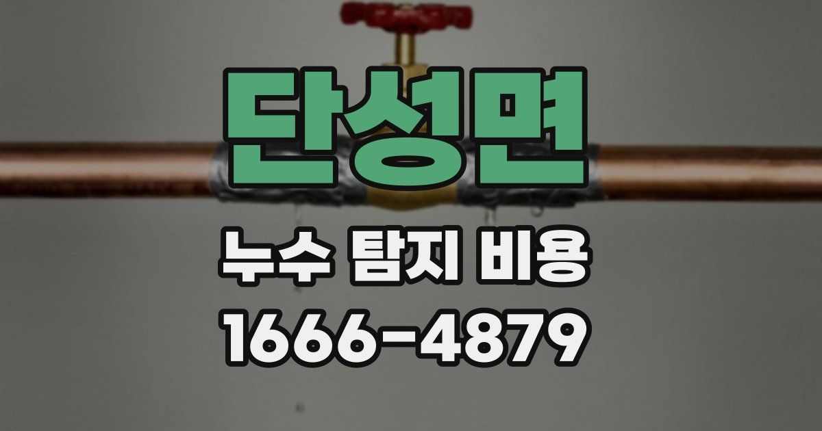 단성면 누수 탐지 비용