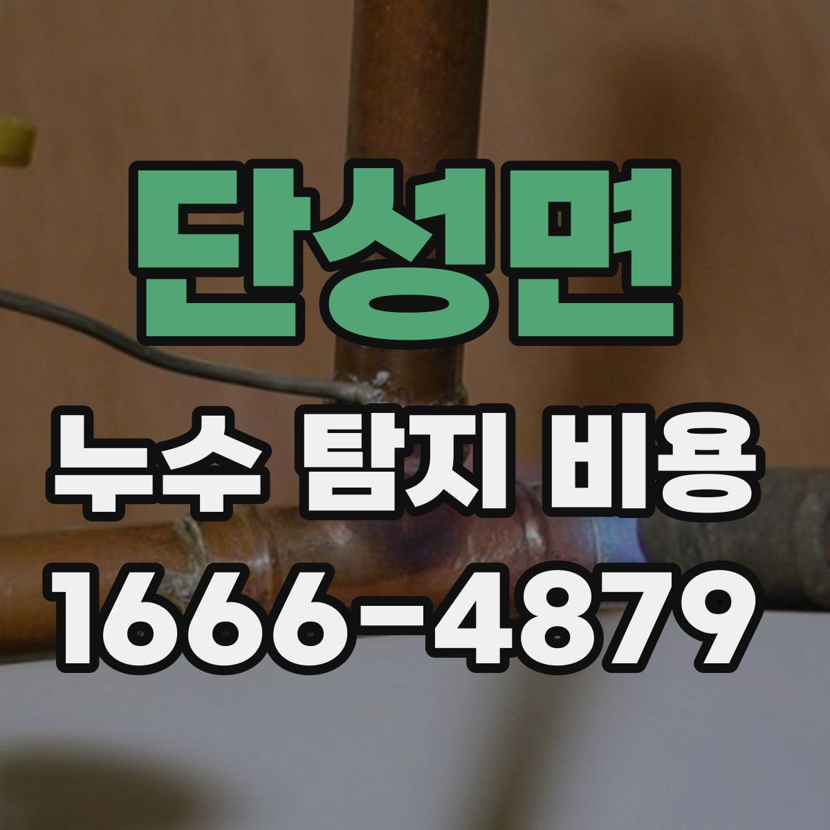단성면 누수 탐지 비용