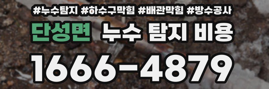 단성면 누수 탐지 비용