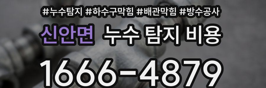 신안면 누수 탐지 비용
