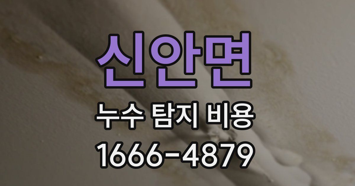 신안면 누수 탐지 비용
