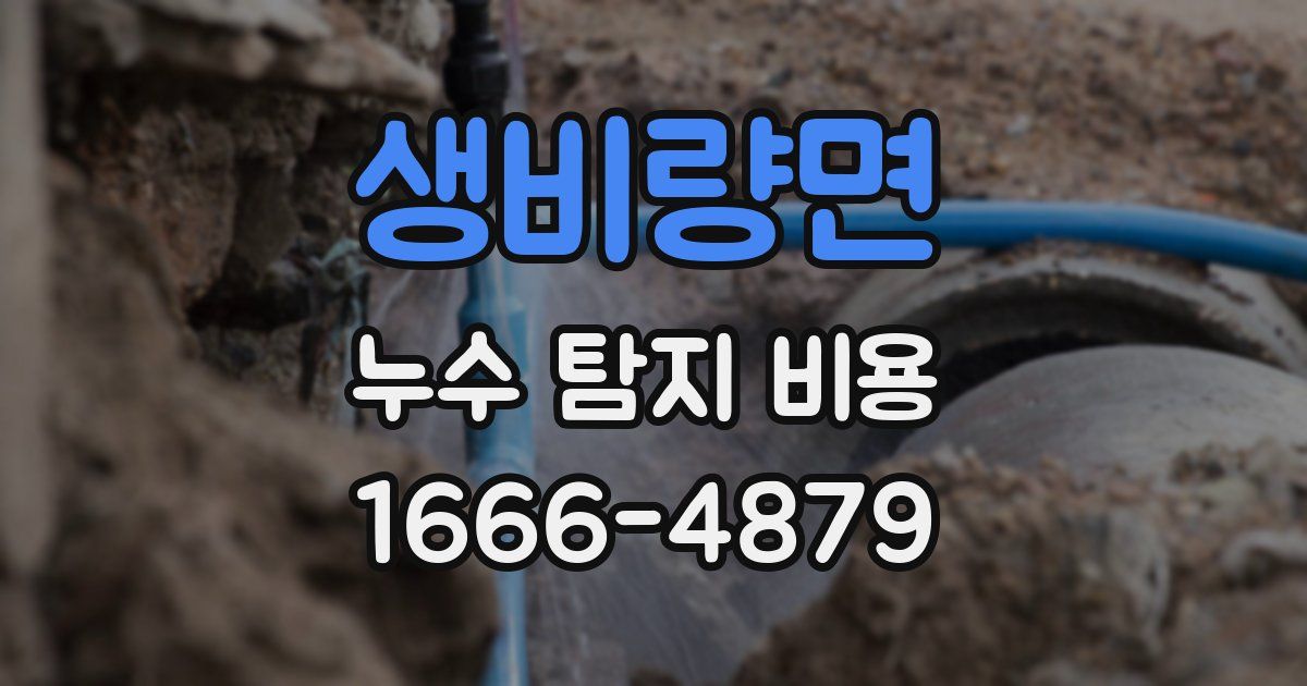 생비량면 누수 탐지 비용