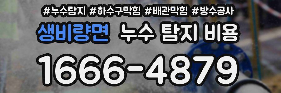 생비량면 누수 탐지 비용