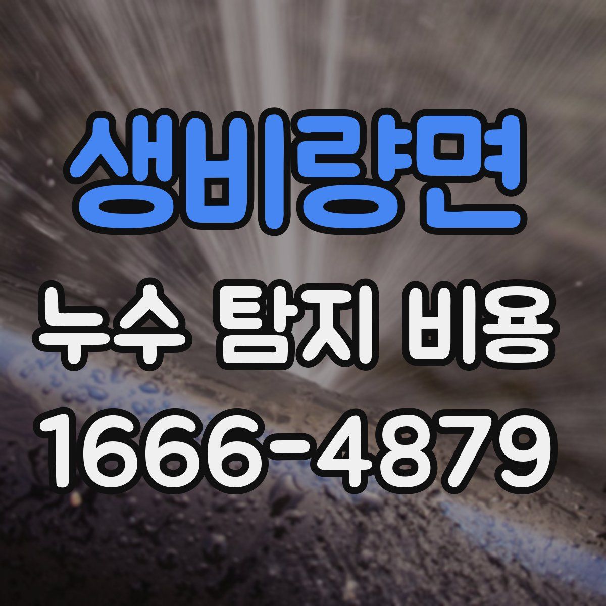 생비량면 누수 탐지 비용