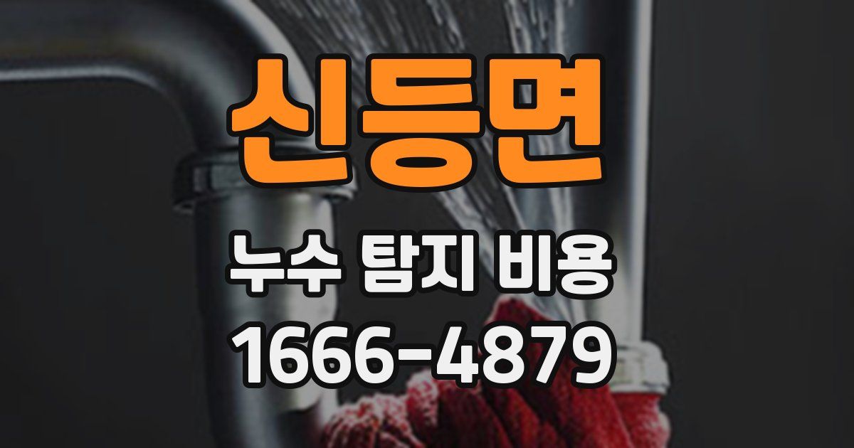 신등면 누수 탐지 비용