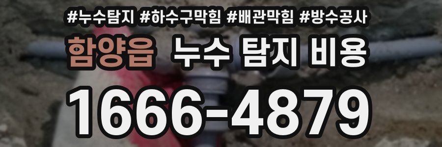 함양읍 누수 탐지 비용