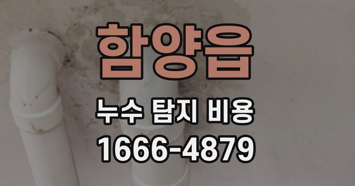 함양읍 누수 탐지 비용