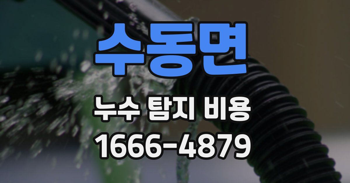 수동면 누수 탐지 비용
