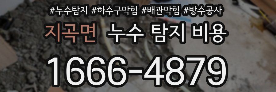 지곡면 누수 탐지 비용