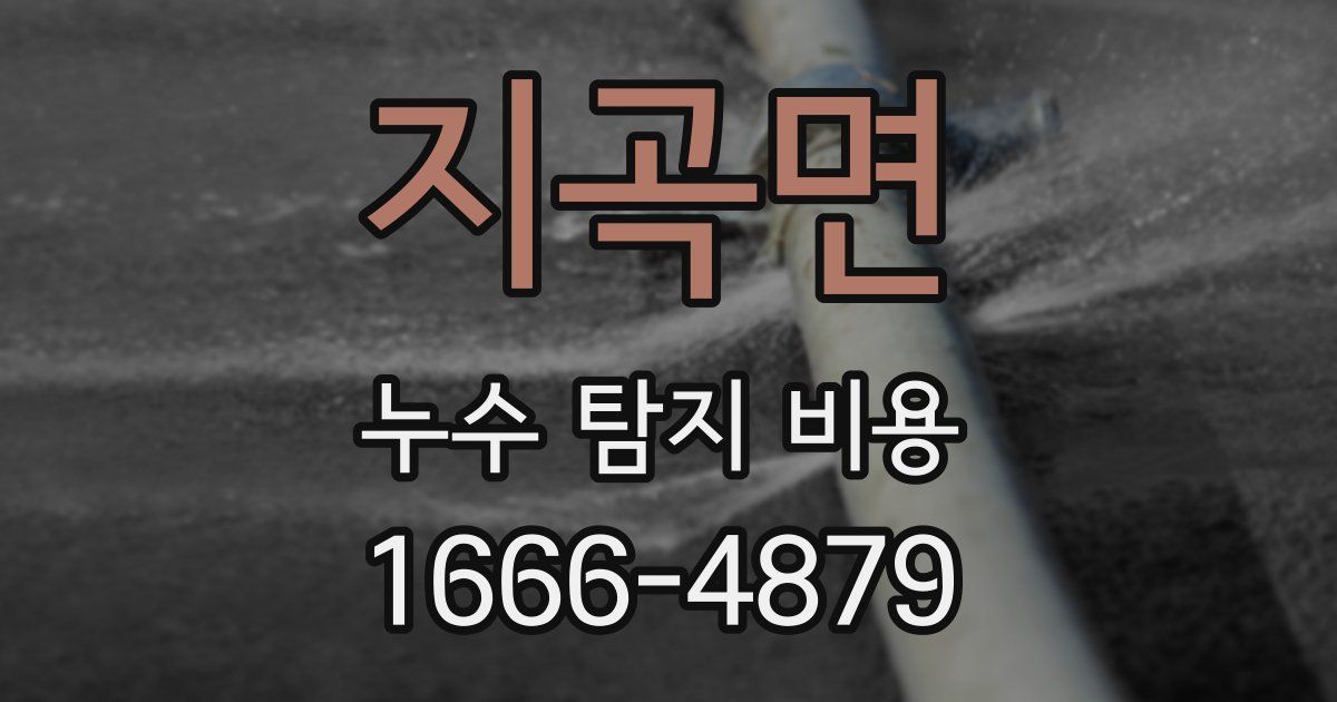 지곡면 누수 탐지 비용