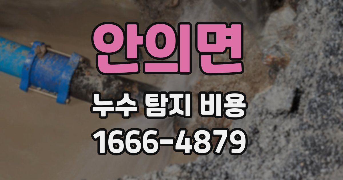안의면 누수 탐지 비용