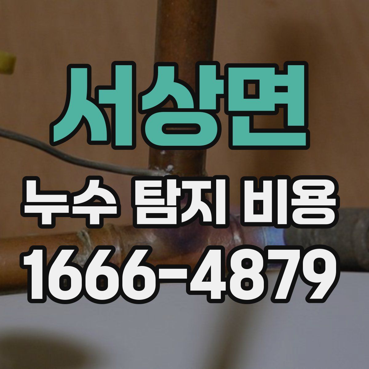 서상면 누수 탐지 비용