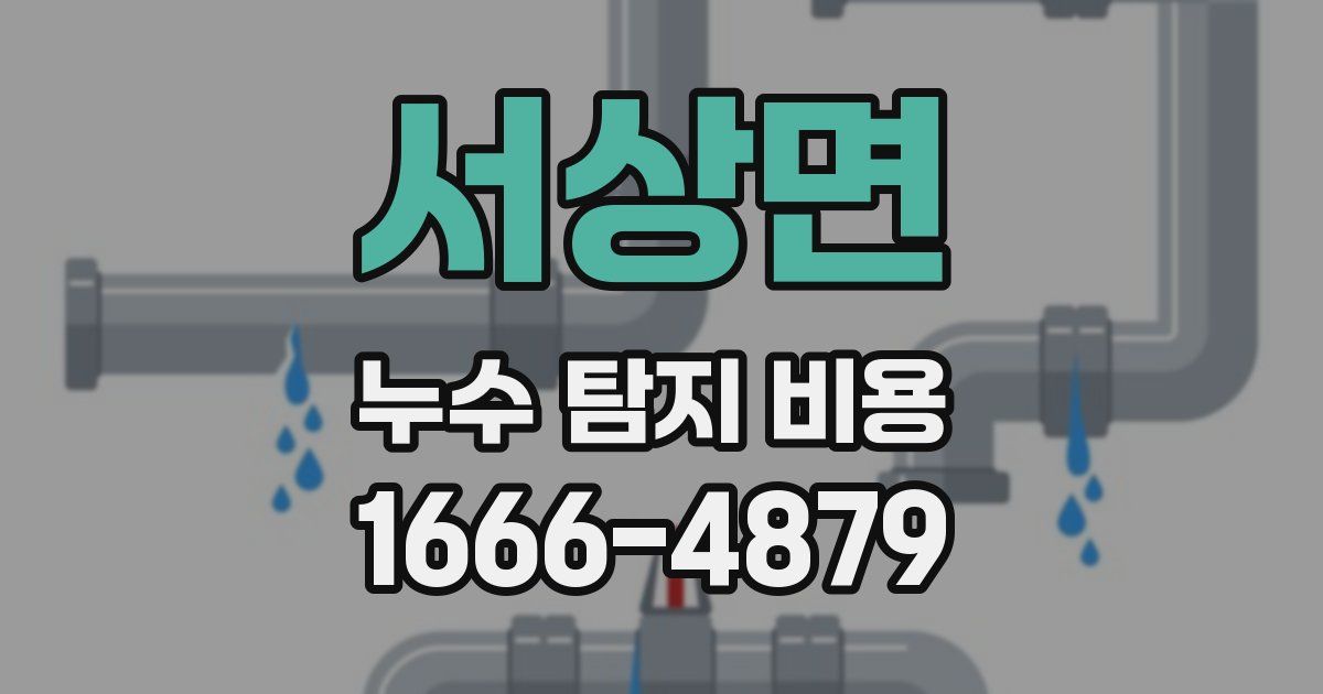 서상면 누수 탐지 비용