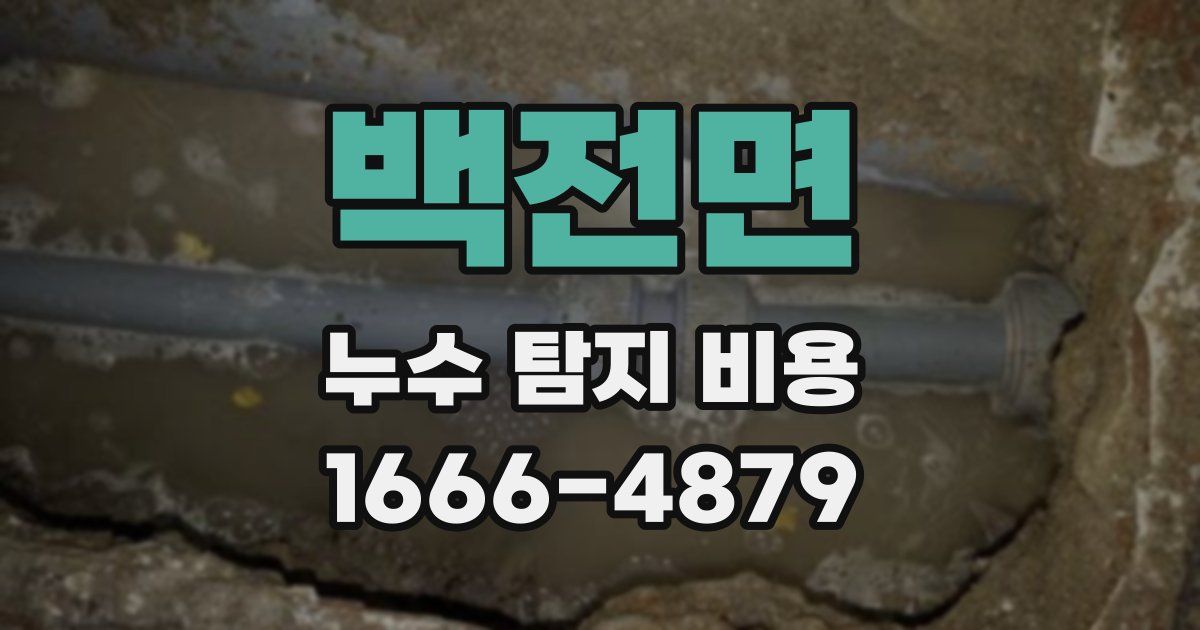 백전면 누수 탐지 비용