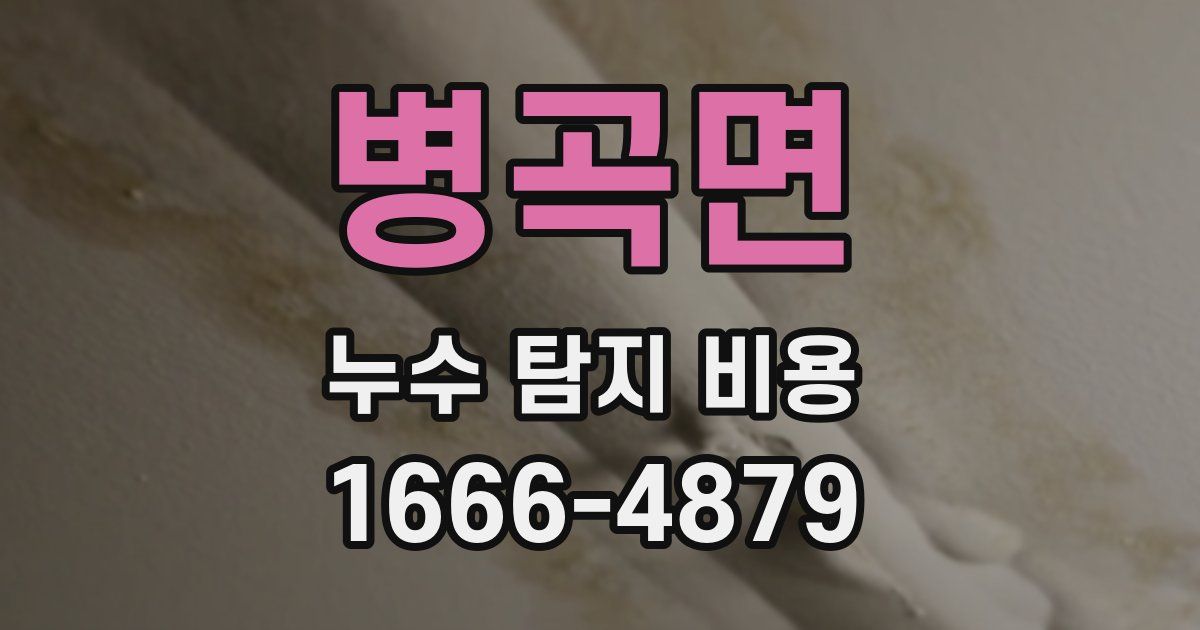 병곡면 누수 탐지 비용