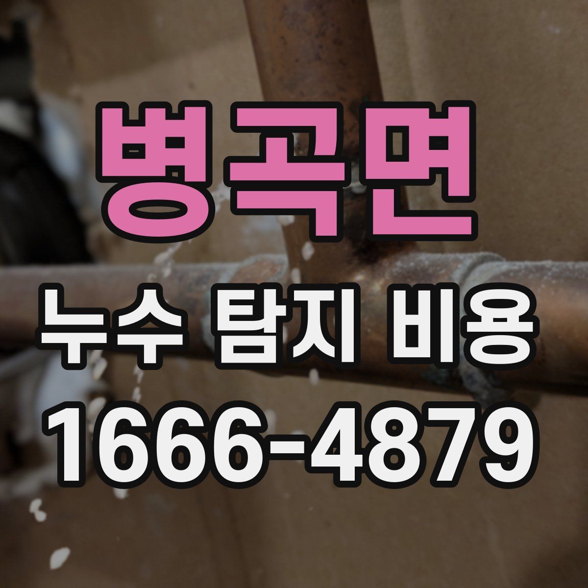 병곡면 누수 탐지 비용