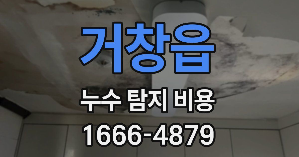 거창읍 누수 탐지 비용