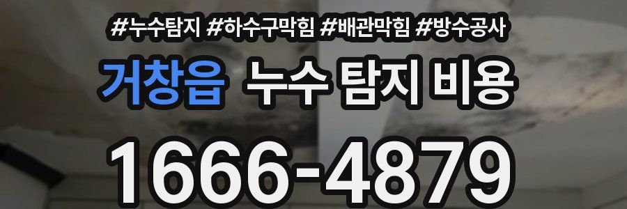 거창읍 누수 탐지 비용