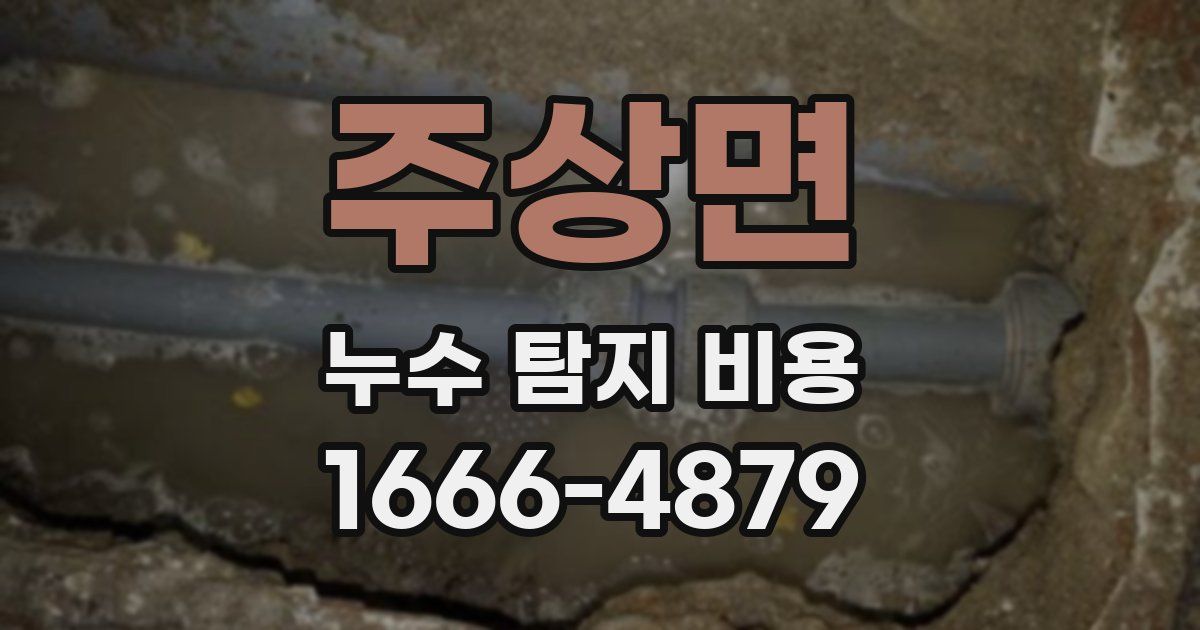 주상면 누수 탐지 비용