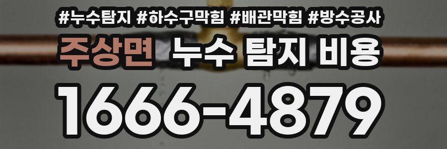 주상면 누수 탐지 비용