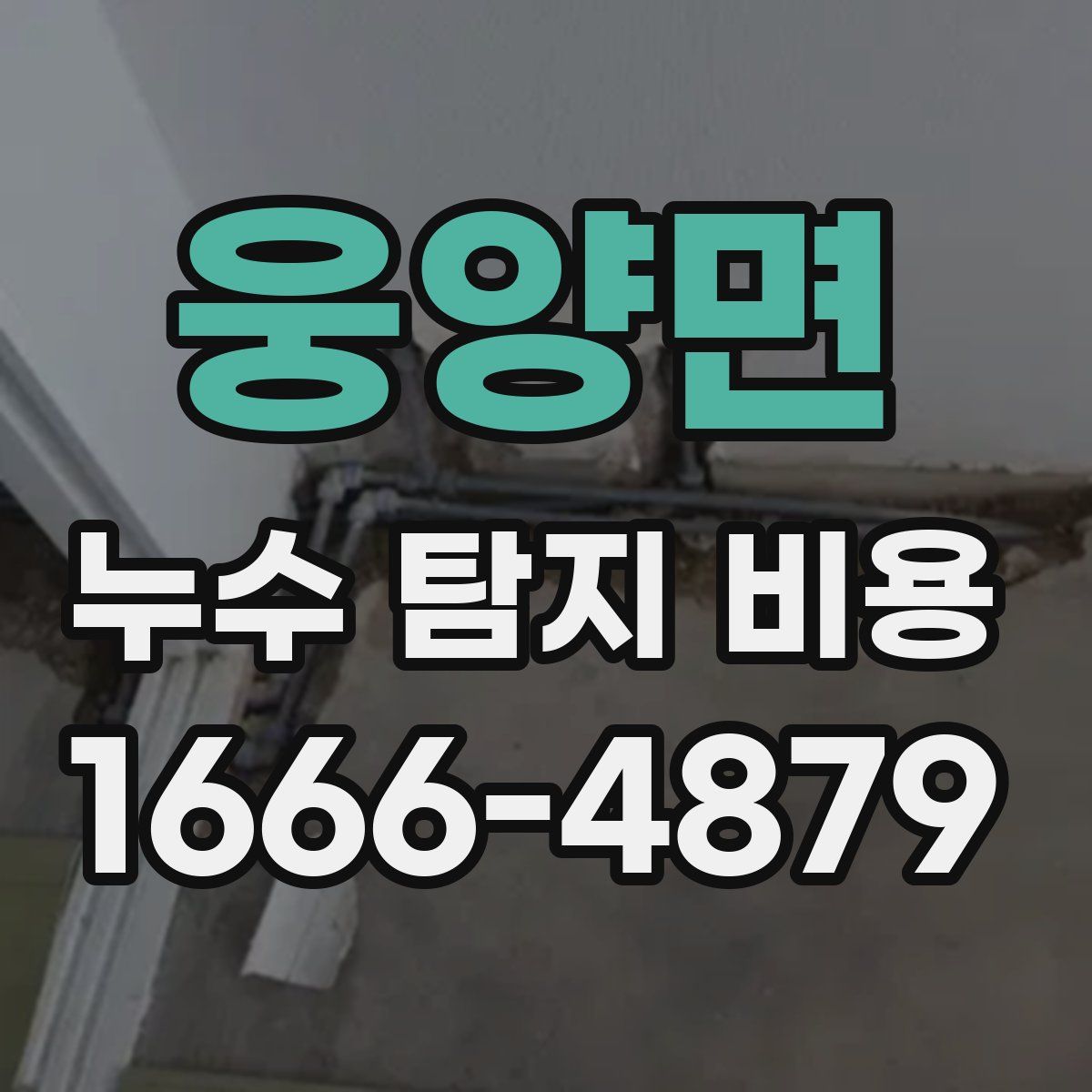 웅양면 누수 탐지 비용