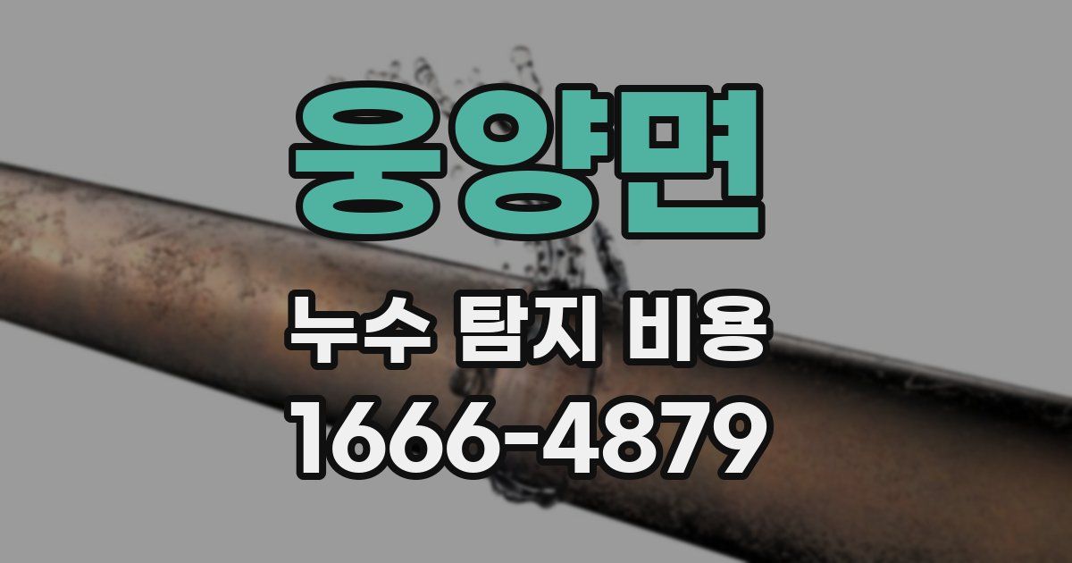 웅양면 누수 탐지 비용