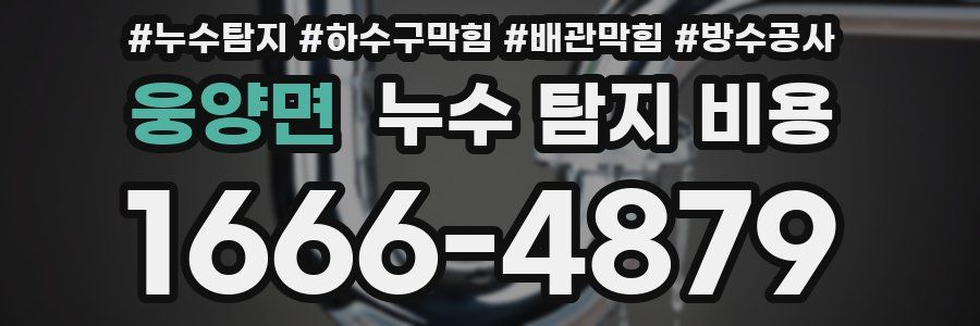 웅양면 누수 탐지 비용