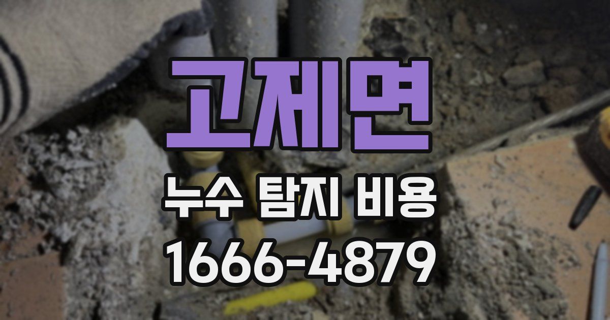 고제면 누수 탐지 비용
