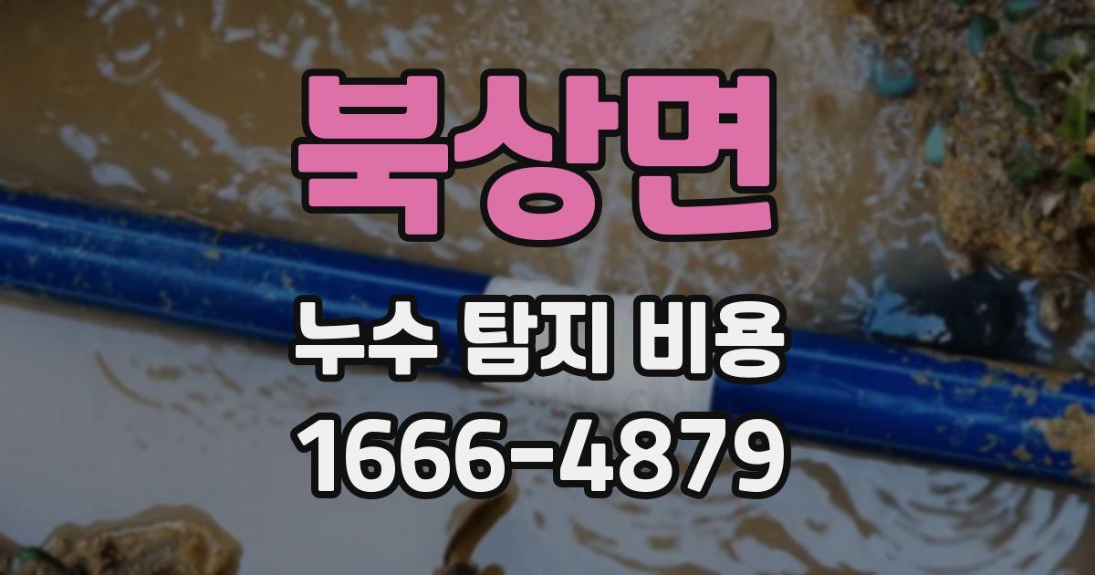 북상면 누수 탐지 비용