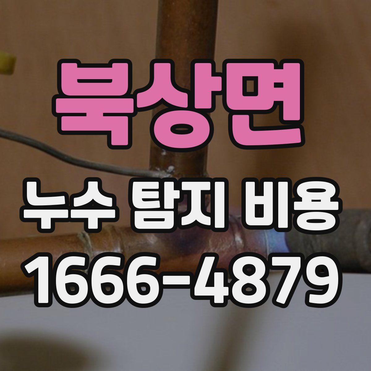 북상면 누수 탐지 비용