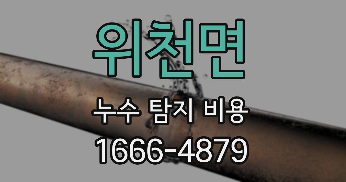 위천면 누수 탐지 비용