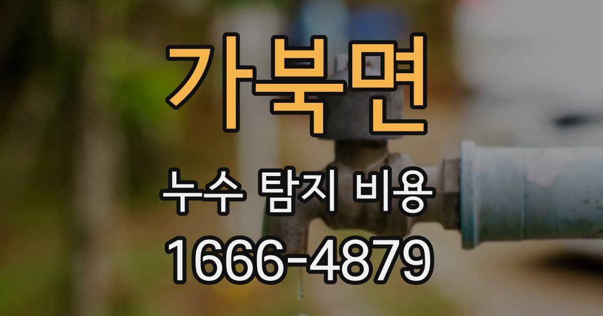 가북면 누수 탐지 비용