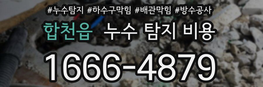 합천읍 누수 탐지 비용