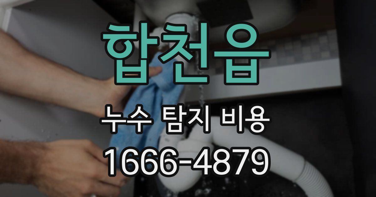 합천읍 누수 탐지 비용