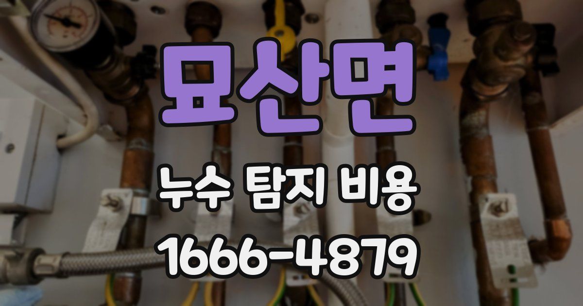 묘산면 누수 탐지 비용