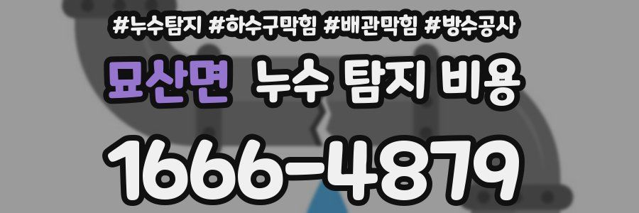 묘산면 누수 탐지 비용