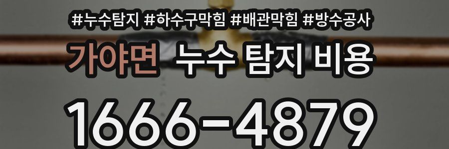 가야면 누수 탐지 비용
