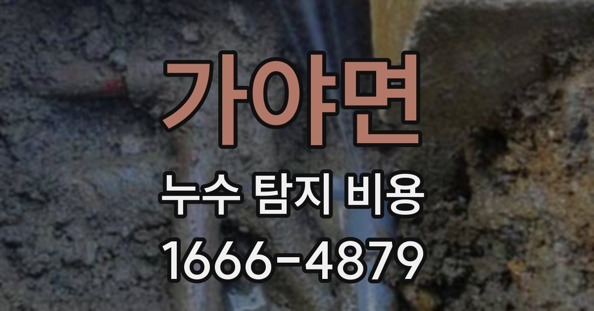 가야면 누수 탐지 비용