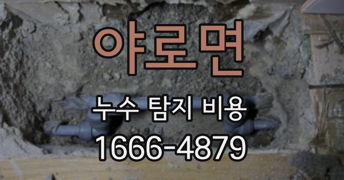 야로면 누수 탐지 비용
