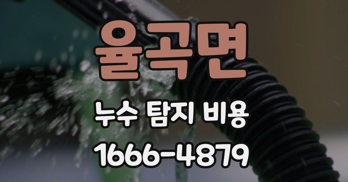 율곡면 누수 탐지 비용
