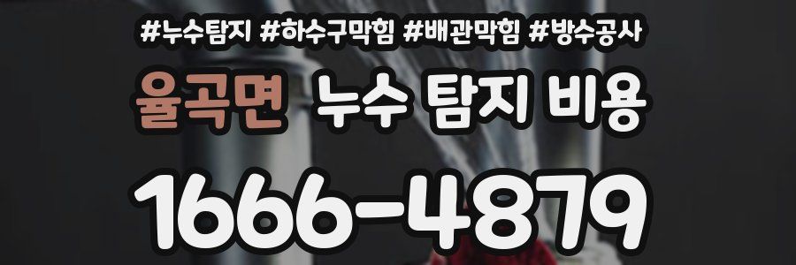 율곡면 누수 탐지 비용