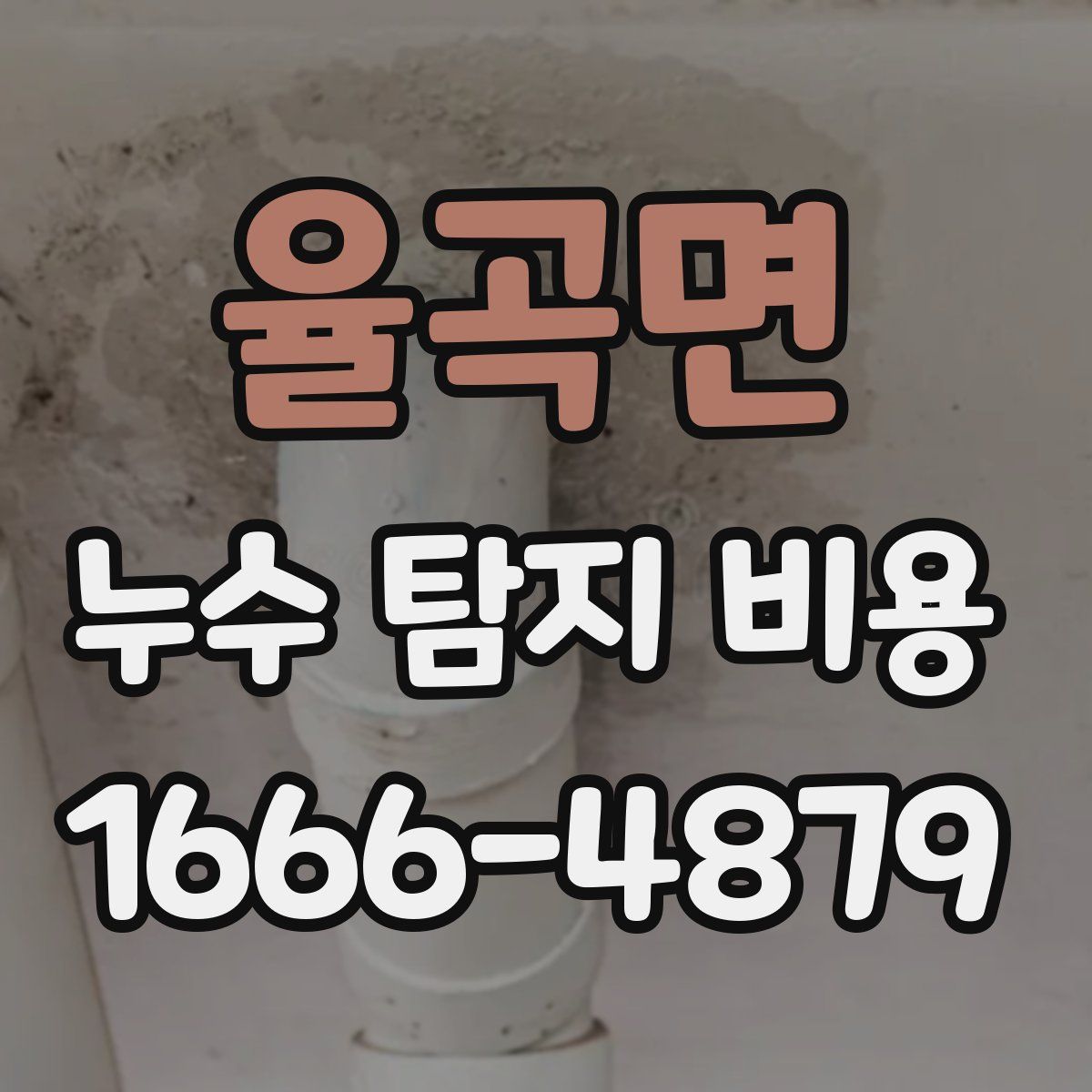 율곡면 누수 탐지 비용