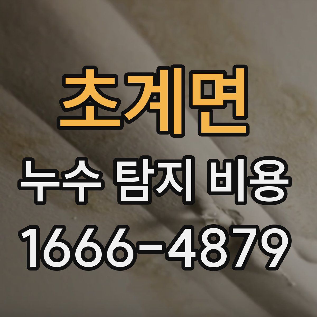 초계면 누수 탐지 비용