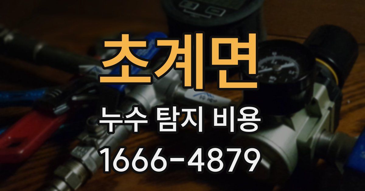 초계면 누수 탐지 비용