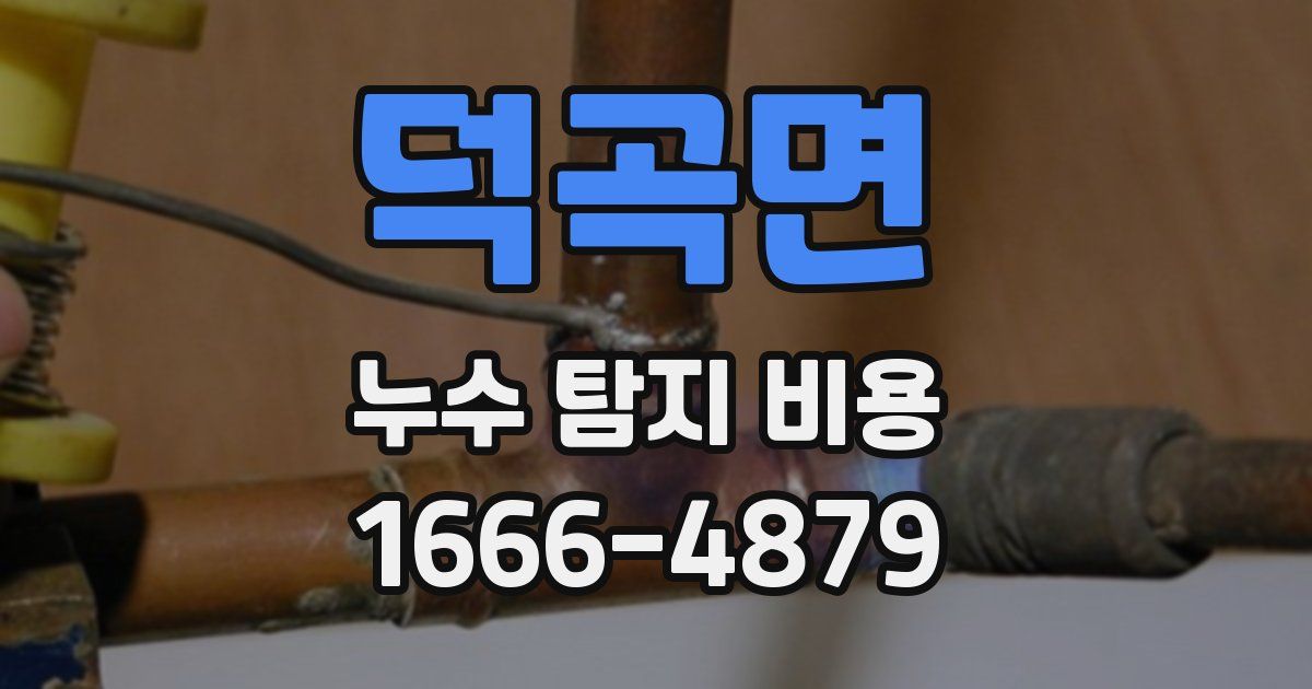 덕곡면 누수 탐지 비용