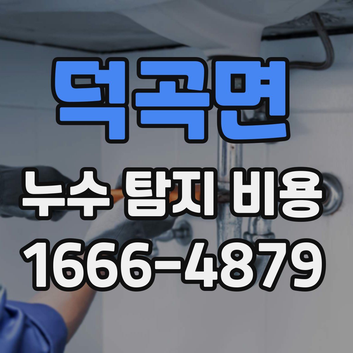 덕곡면 누수 탐지 비용