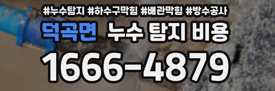 덕곡면 누수 탐지 비용